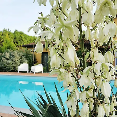 Artvillaarmonia Sarzana, Piscina Esclusiva ヴィラ *
