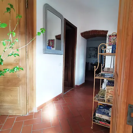 Artvillaarmonia Sarzana, Piscina Esclusiva サルツァーナ