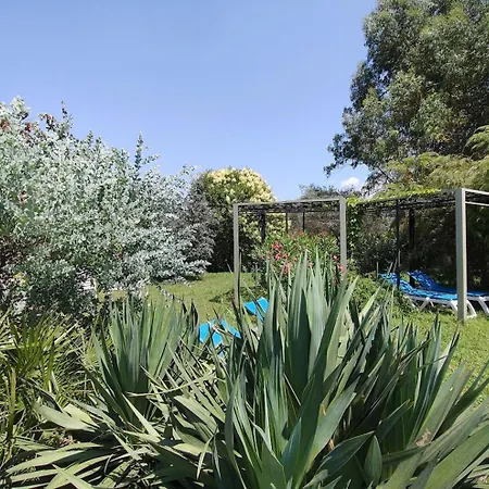 Artvillaarmonia Sarzana, Piscina Esclusiva ヴィラ *