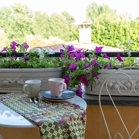 Artvillaarmonia Sarzana, Piscina Esclusiva * サルツァーナ
