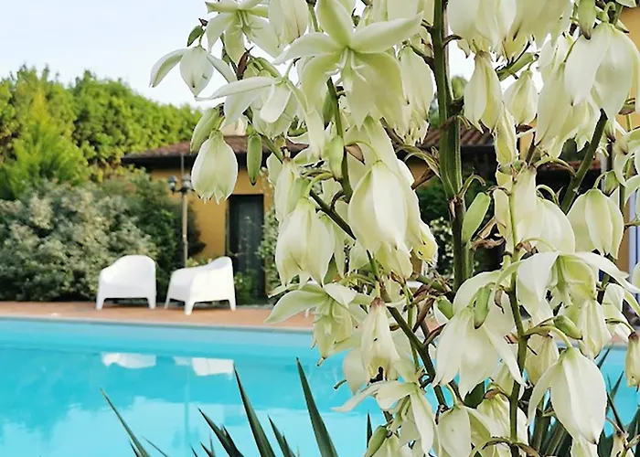 Artvillaarmonia Sarzana, Piscina Esclusiva Вилла *